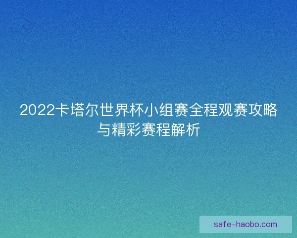 2022卡塔尔世界杯小组赛全程观赛攻略与精彩赛程解析